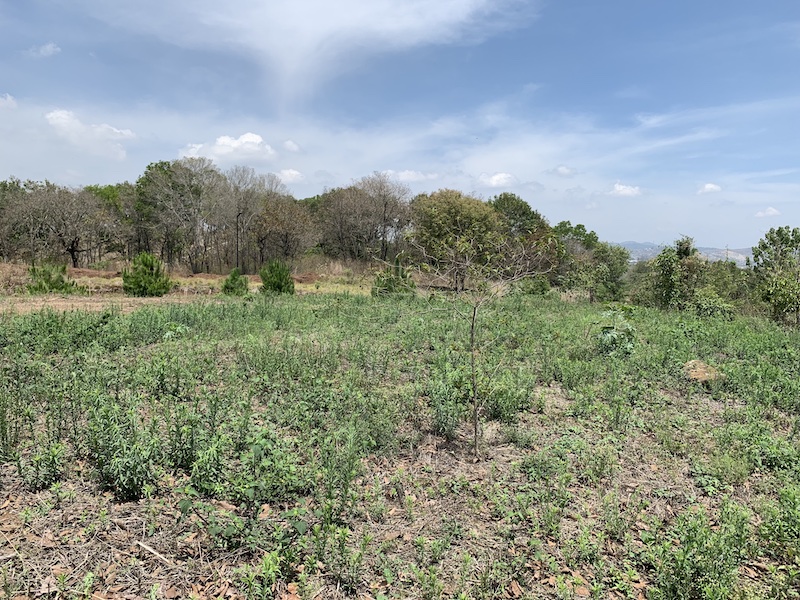 Guatemala, ,Terreno Residencial,Venta,1125