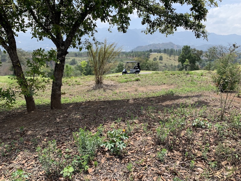Guatemala, ,Terreno Residencial,Venta,1125