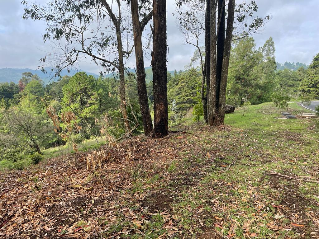 Guatemala, ,Terreno Residencial,Venta,1188