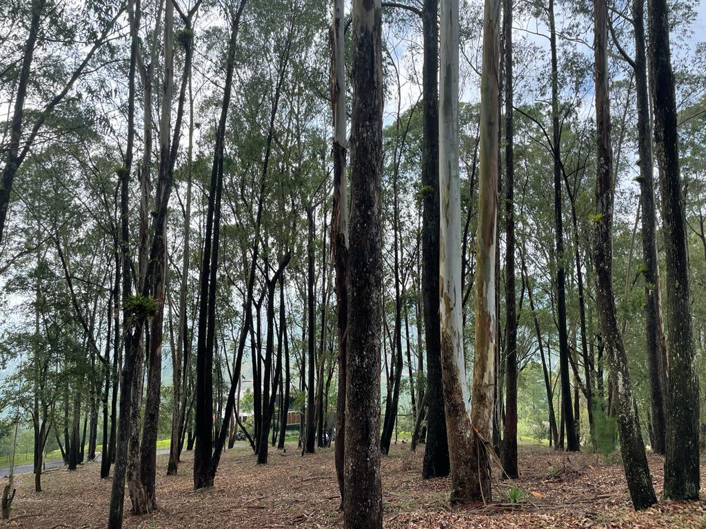 Guatemala, ,Terreno Residencial,Venta,1188