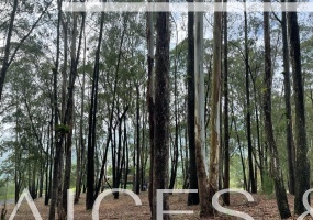 Guatemala, ,Terreno Residencial,Venta,1188