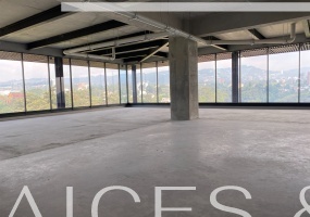 Guatemala, ,Oficinas,Renta,Spazio,1283
