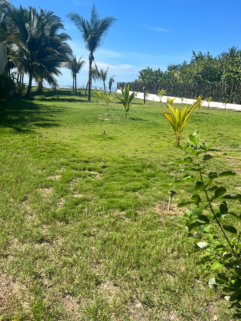 Puerto Quetzal, ,Terreno Residencial,Venta,1311