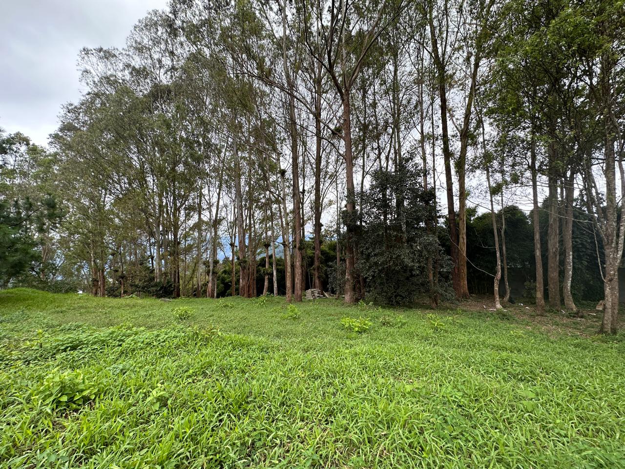 Guatemala, ,Terreno Residencial,Venta,1326